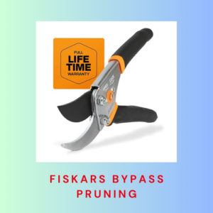 Bypass Pruning